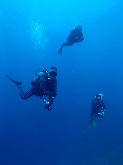 P6302280_640x480 P6302280_640x480