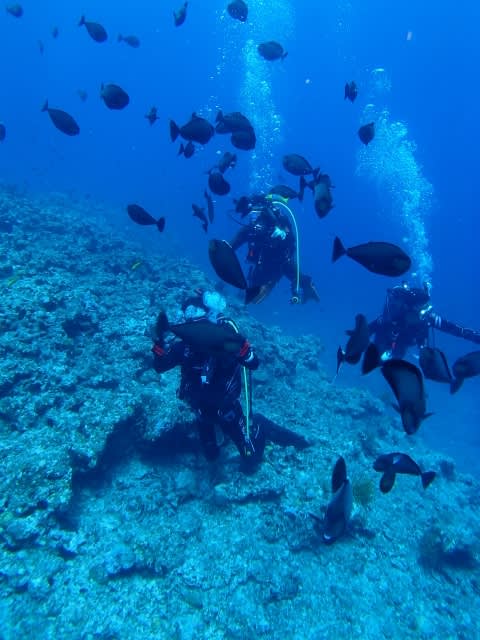 P9287743_640x480 P9287743_640x480