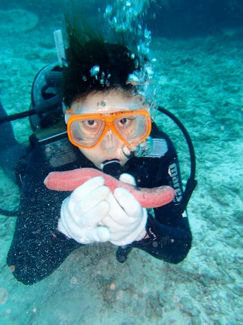 P4270004_480x640 P4270004_480x640