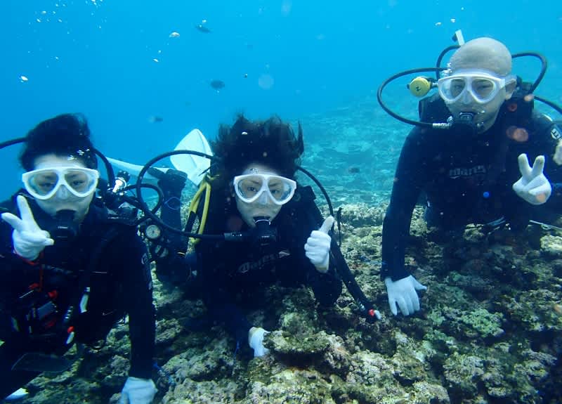 P6262131_800x575 P6262131_800x575