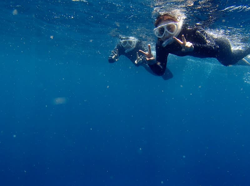 P6232066_800x596 P6232066_800x596