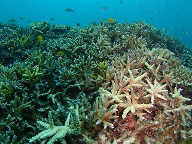 P8140015_640x480 P8140015_640x480