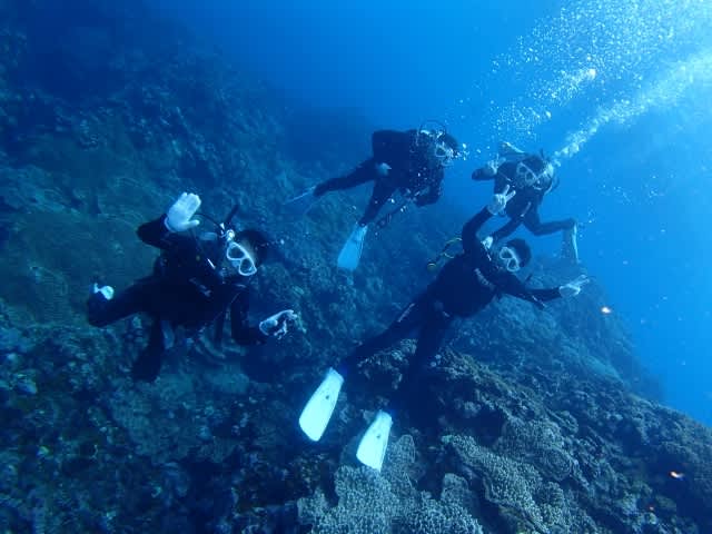 P9267539_640x480 P9267539_640x480