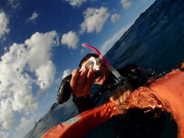 P9230004_640x480 P9230004_640x480