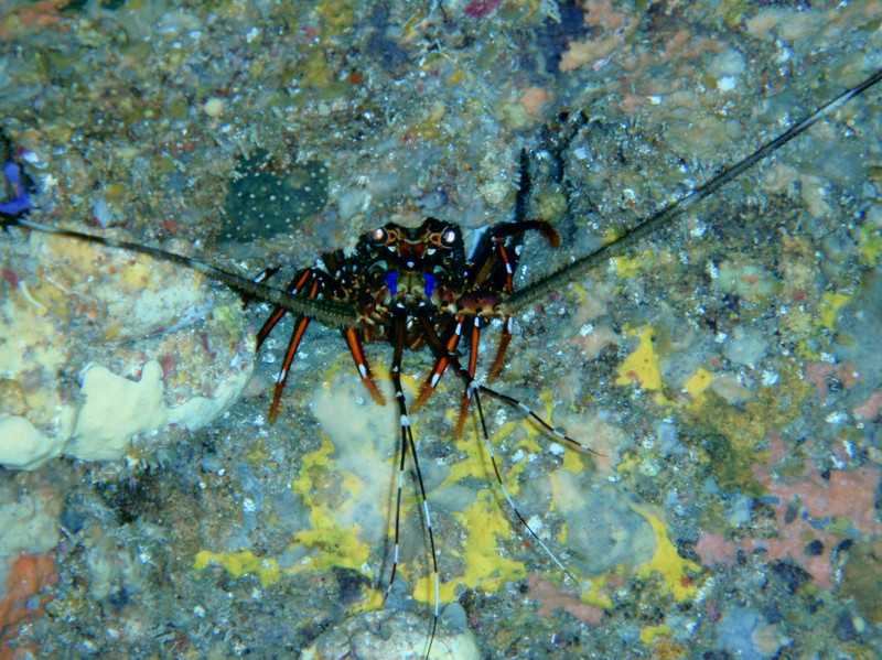 P7010017_2 P7010017_2