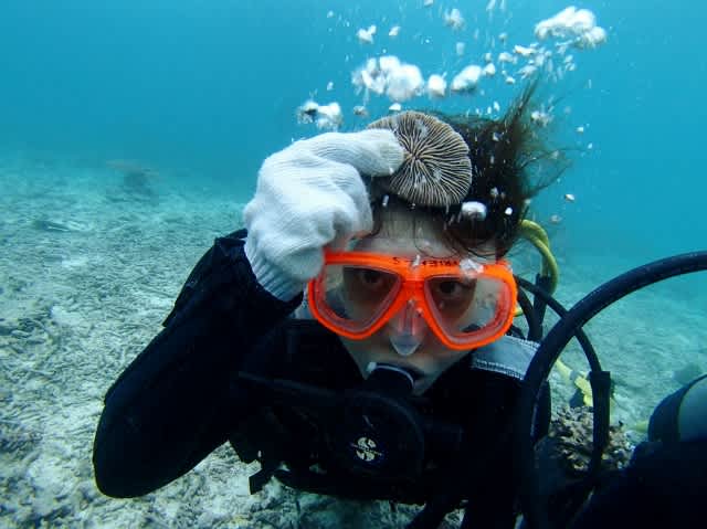 P4270017_640x479 P4270017_640x479