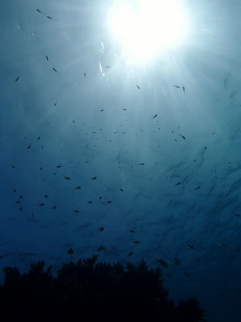 P4240126_479x640 P4240126_479x640