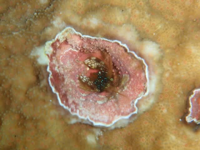 Pa010006_640x480 Pa010006_640x480