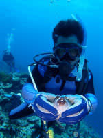 P6240030_800x600 P6240030_800x600