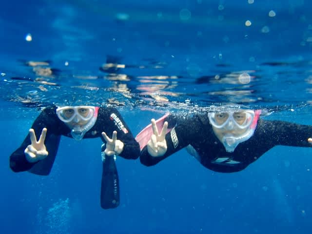 P8230016_640x480 P8230016_640x480