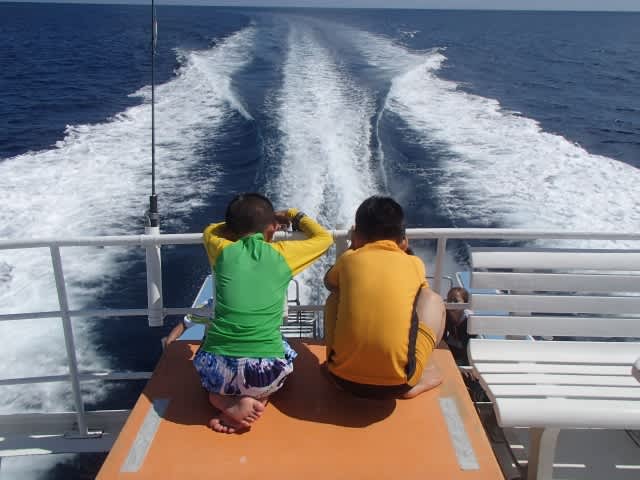 P7220093_640x480 P7220093_640x480