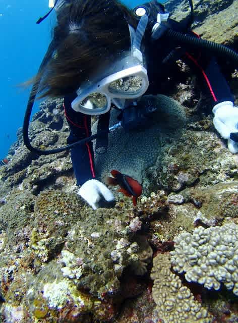 P9220054_472x640 P9220054_472x640