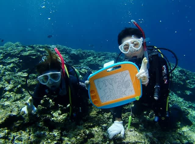 P9140015_640x473 P9140015_640x473