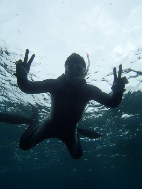 P3280055_480x640 P3280055_480x640