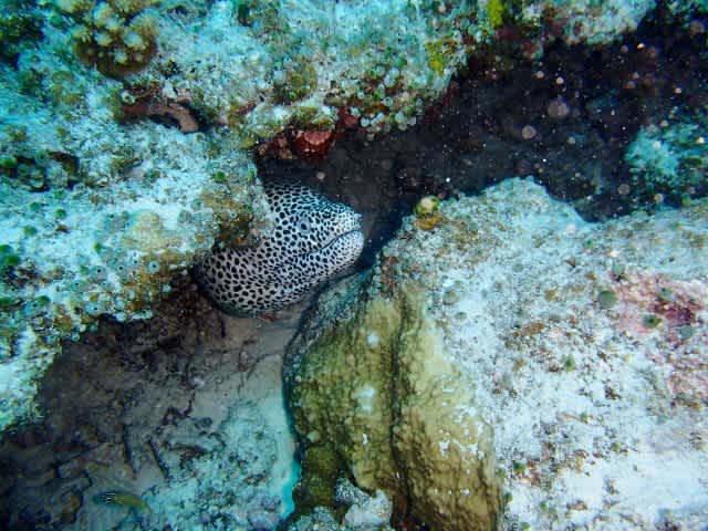 P9280020_640x480 P9280020_640x480