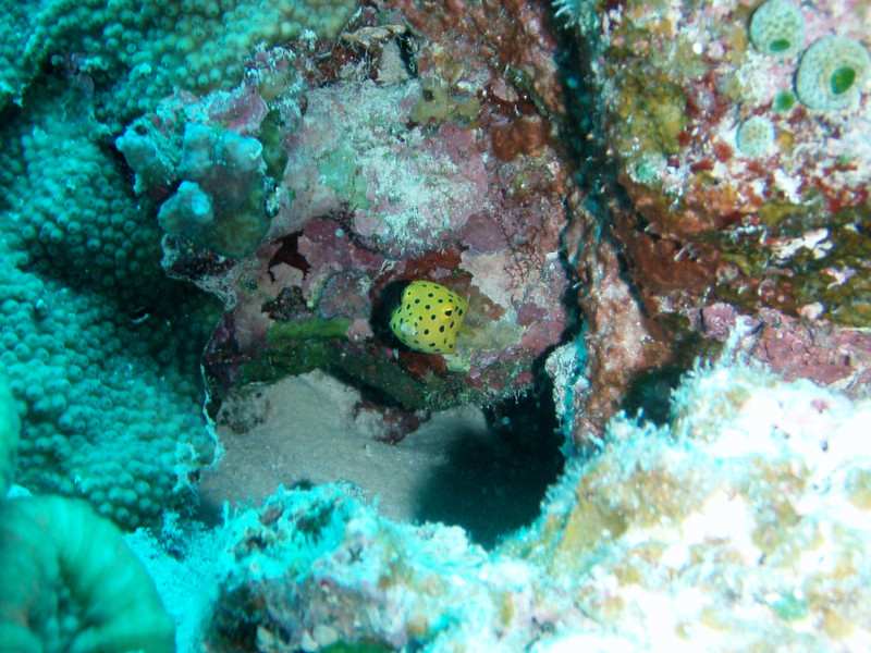 Pa230019_2 Pa230019_2