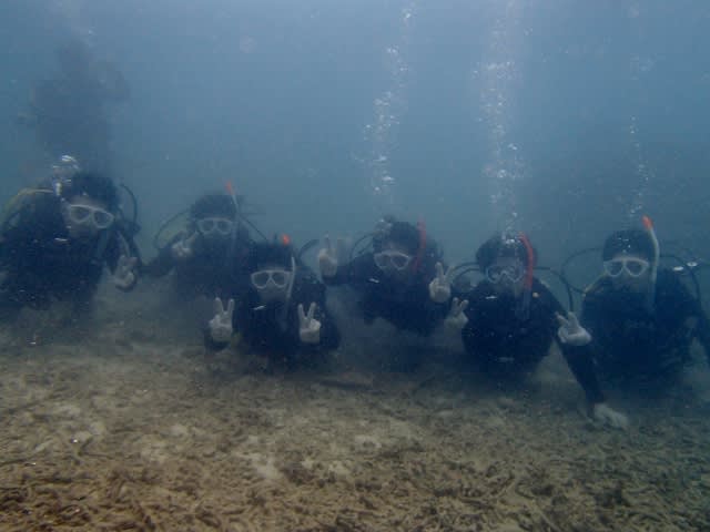 P9016149_640x480 P9016149_640x480