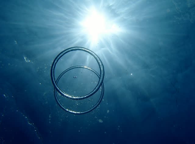 P4200031_640x472 P4200031_640x472