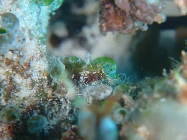 P9240008_640x480 P9240008_640x480