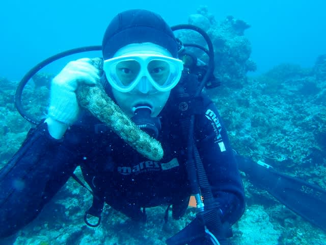 P4060029_640x480 P4060029_640x480