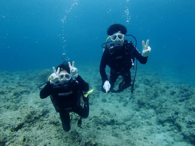 P9200035_640x480 P9200035_640x480