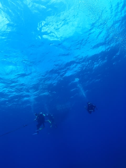 P9267545_640x480_2 P9267545_640x480_2