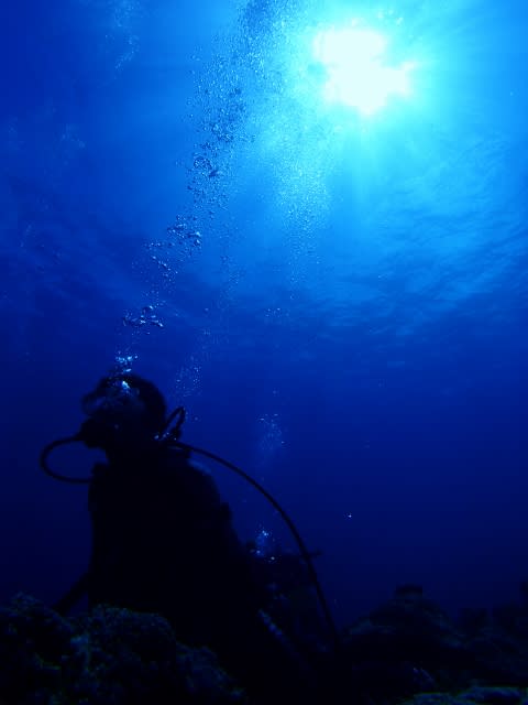 P8170012_480x640 P8170012_480x640