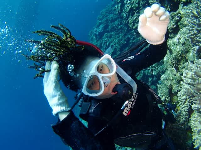 P9140010_640x480 P9140010_640x480