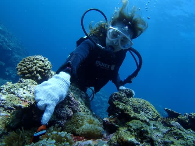 P6300021_640x480 P6300021_640x480