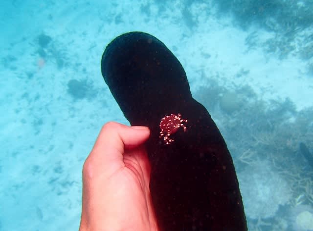 P4240115_640x471 P4240115_640x471