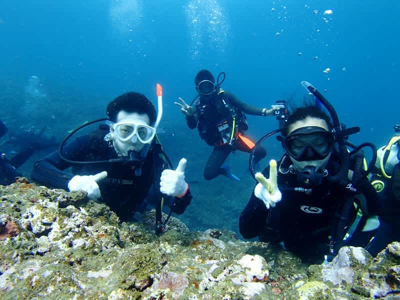 P6220026_800x600 P6220026_800x600