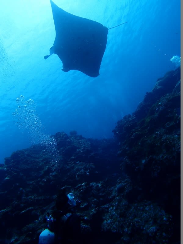 P6160076_800x600_2 P6160076_800x600_2