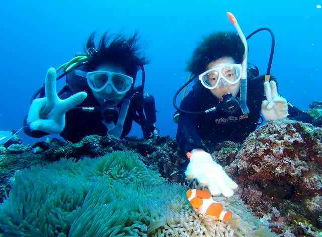 P8195696_640x472 P8195696_640x472