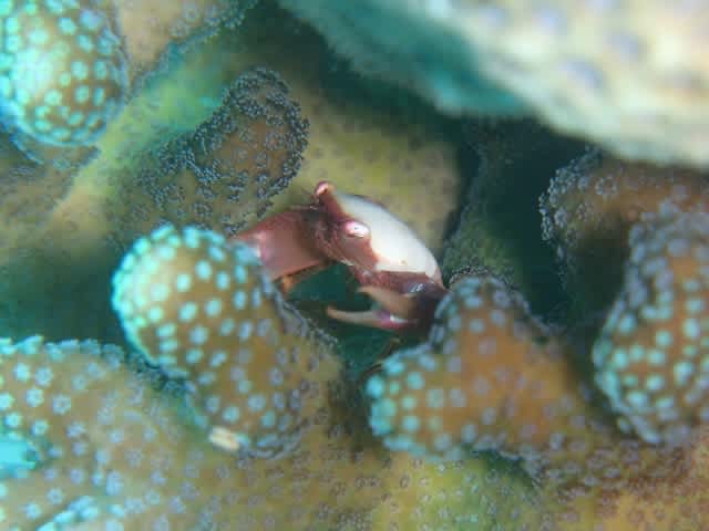 P9160009_640x480 P9160009_640x480