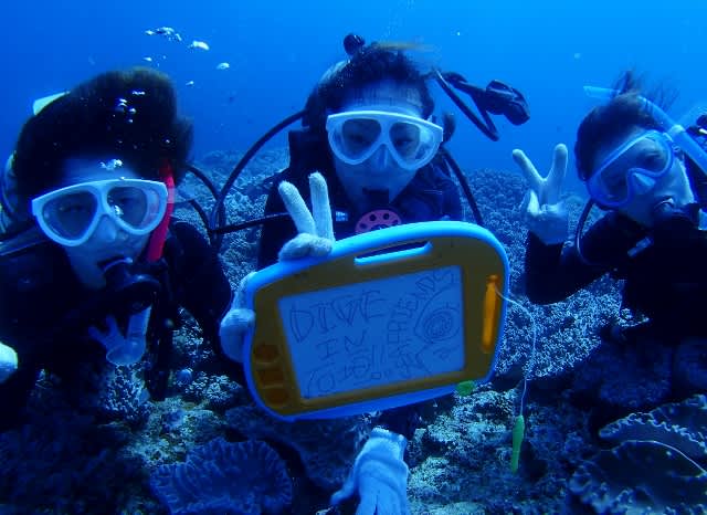 P9280021_640x466 P9280021_640x466