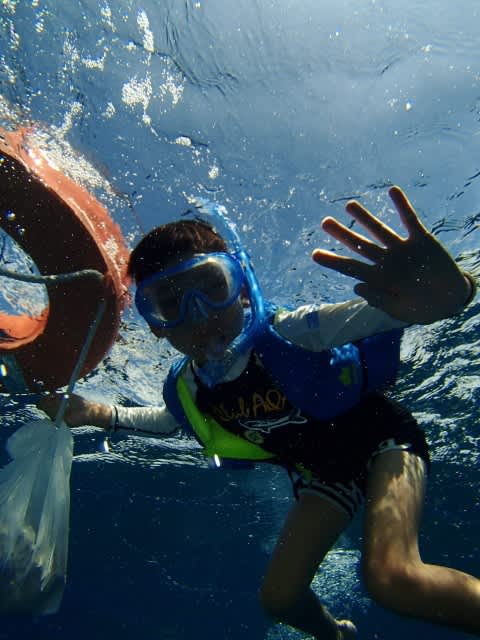 P8180041_480x640 P8180041_480x640