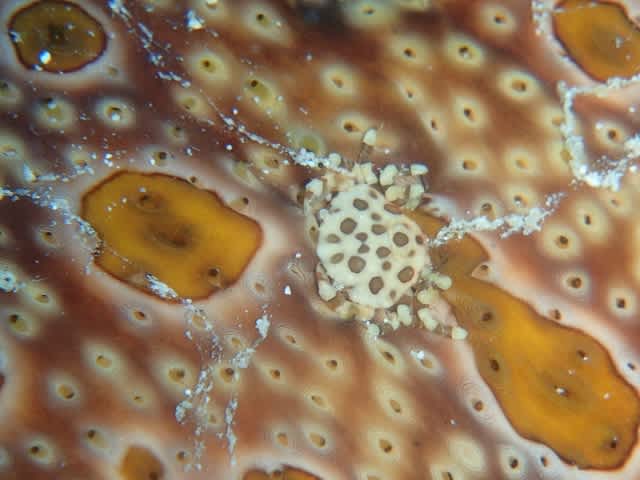 Pa200011_640x480 Pa200011_640x480