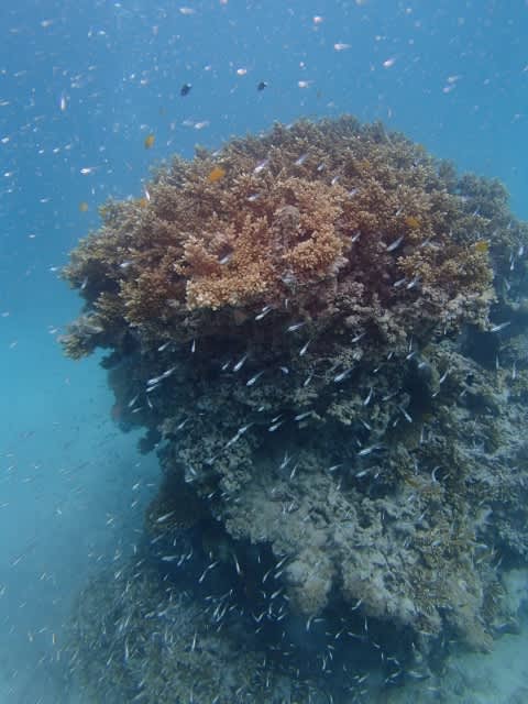 P7160009_640x480 P7160009_640x480