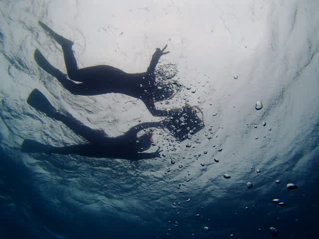 P9016163_640x480 P9016163_640x480