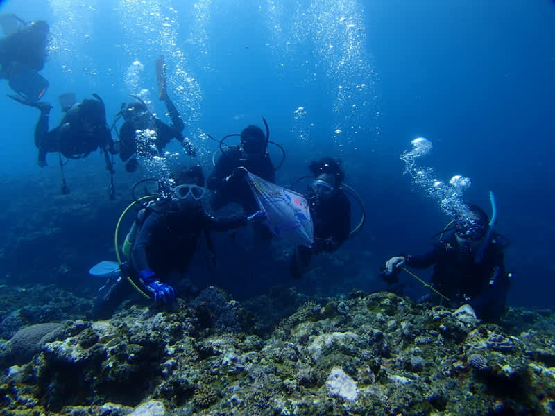 P5300007_1024x768 P5300007_1024x768