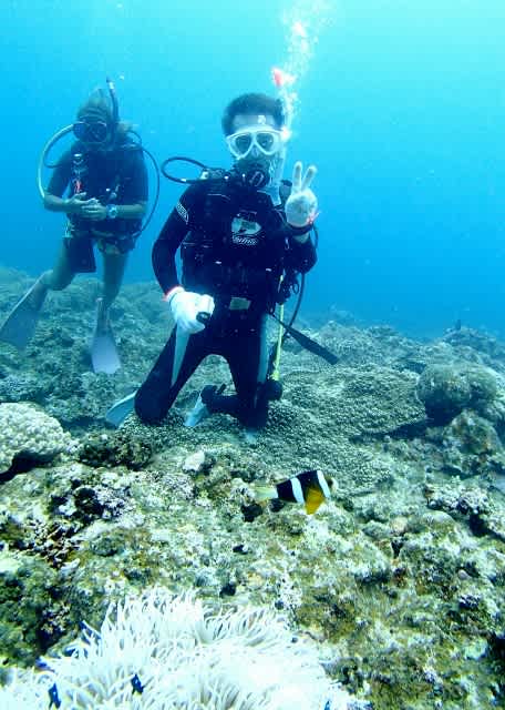 P8145267_456x640 P8145267_456x640