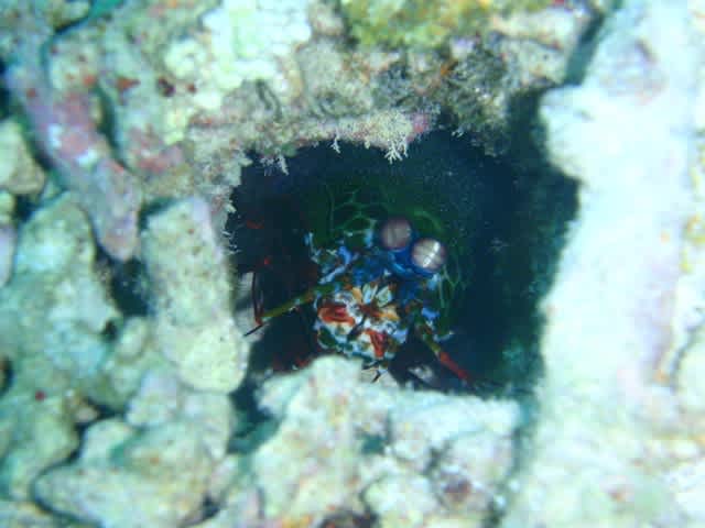 P4210011_2 P4210011_2