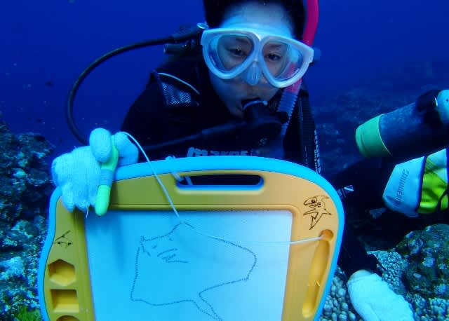 P9130040_640x458 P9130040_640x458