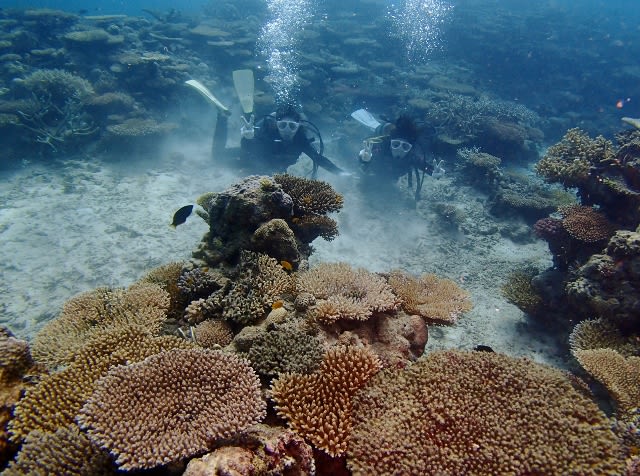 P9270066_640x476 P9270066_640x476