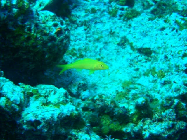 P7140002_2 P7140002_2