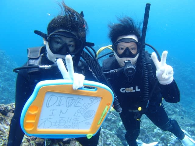 P9056359_640x480 P9056359_640x480