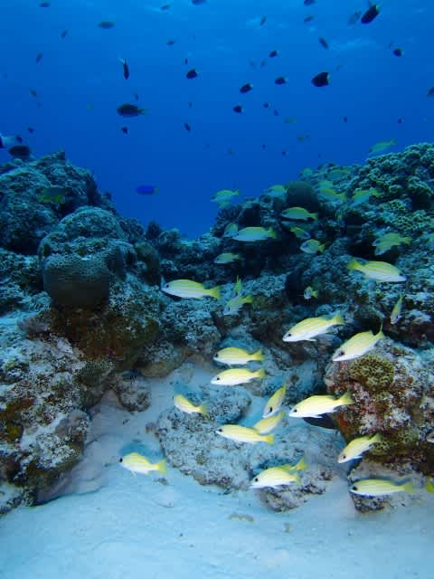 P9090041_480x640 P9090041_480x640