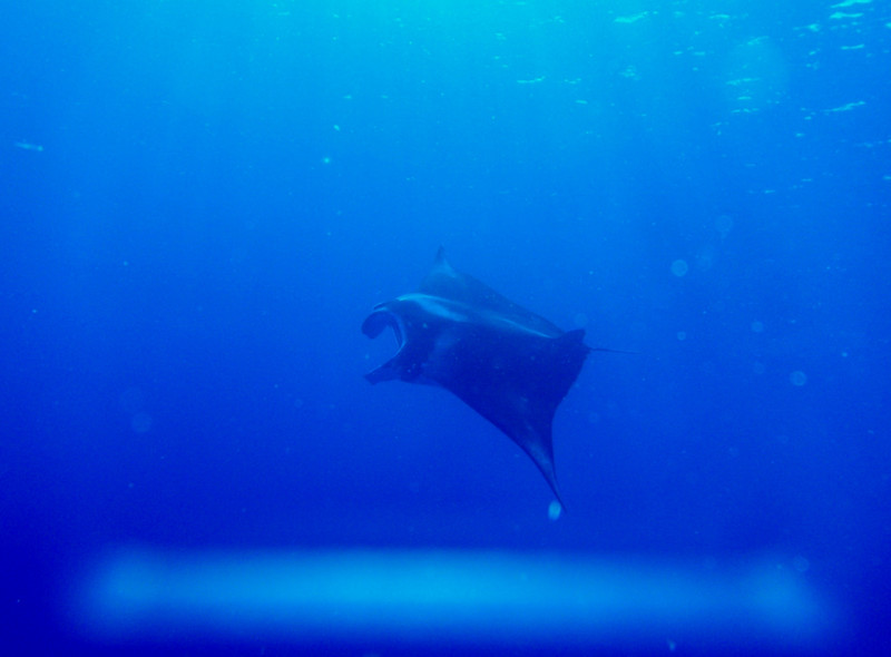 Pc117412_3 Pc117412_3