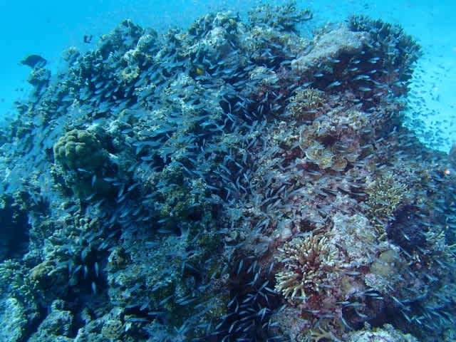 P9287777_640x480 P9287777_640x480