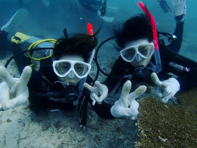 Pa098178_640x480 Pa098178_640x480